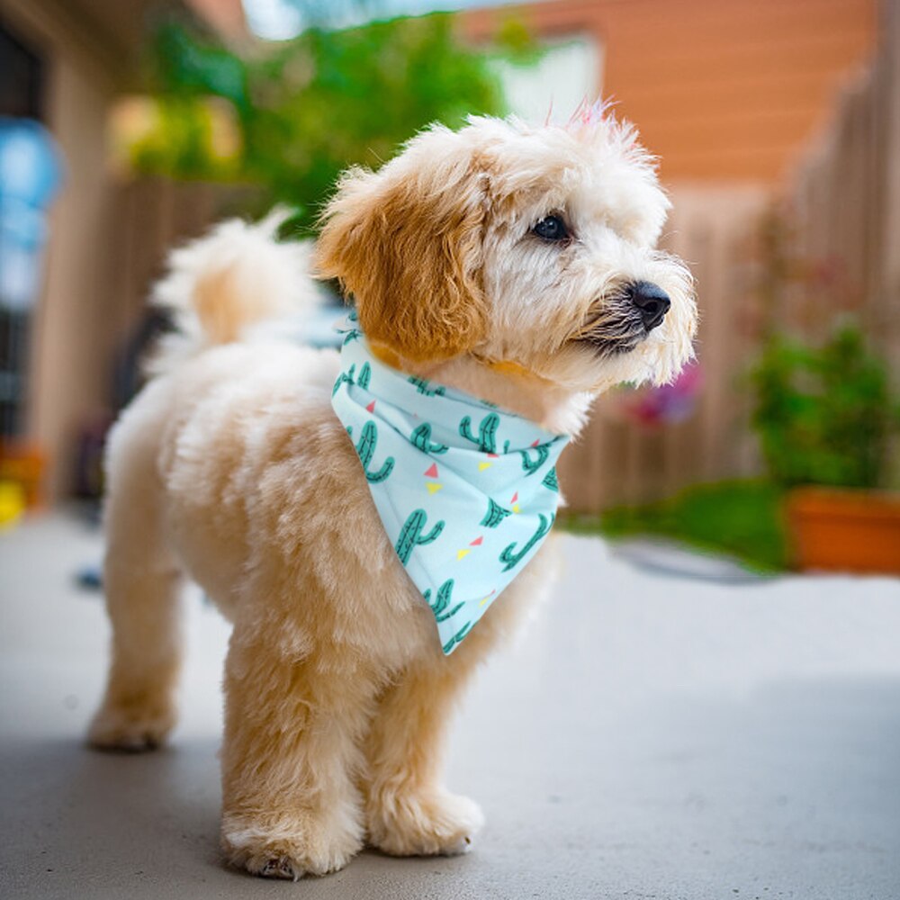 Foulard Bandana imprimé mignon pour chien, en coton doux, collier pour chat, Bandanas lavables pour petits et moyens chiens chats accessoires pour chiens