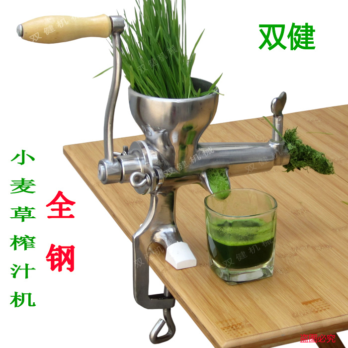 304 Stainless Steel Wheatgrass Juicer Wheatgrass-Juicer Vegetable Machine Fruit And Vegetable Juice Extractor