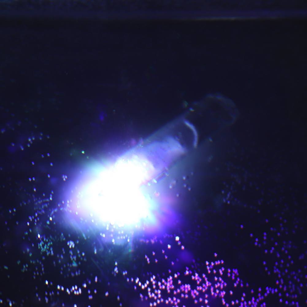 5 Colors Mini fishing light small illuminating LED Deep Underwater Eye Shape 6 cm/2.4 inch Fishing Squid Fishing bait: D