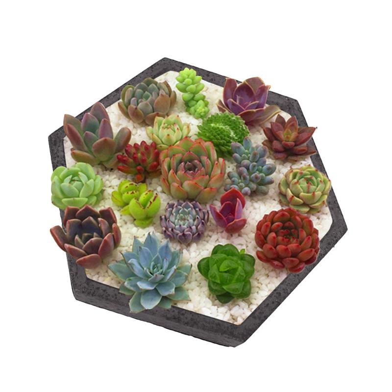 Fioriera di cemento Stampo in silicone Rombo A Forma di Esagono Geometrico Decorazione Della Casa Del Mestiere Invasatura Piante Succulente Cemento Vaso di Stampi