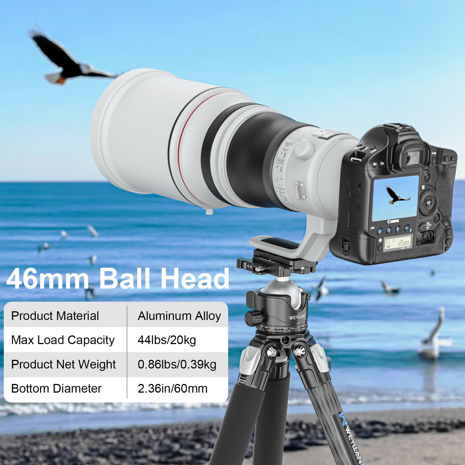 Tripod Ball Head with Lever Release 46mm Low Profile Ball Head Mount with Arca Swiss Plate WEYLLAN EH46L for Monopod Load 20kg