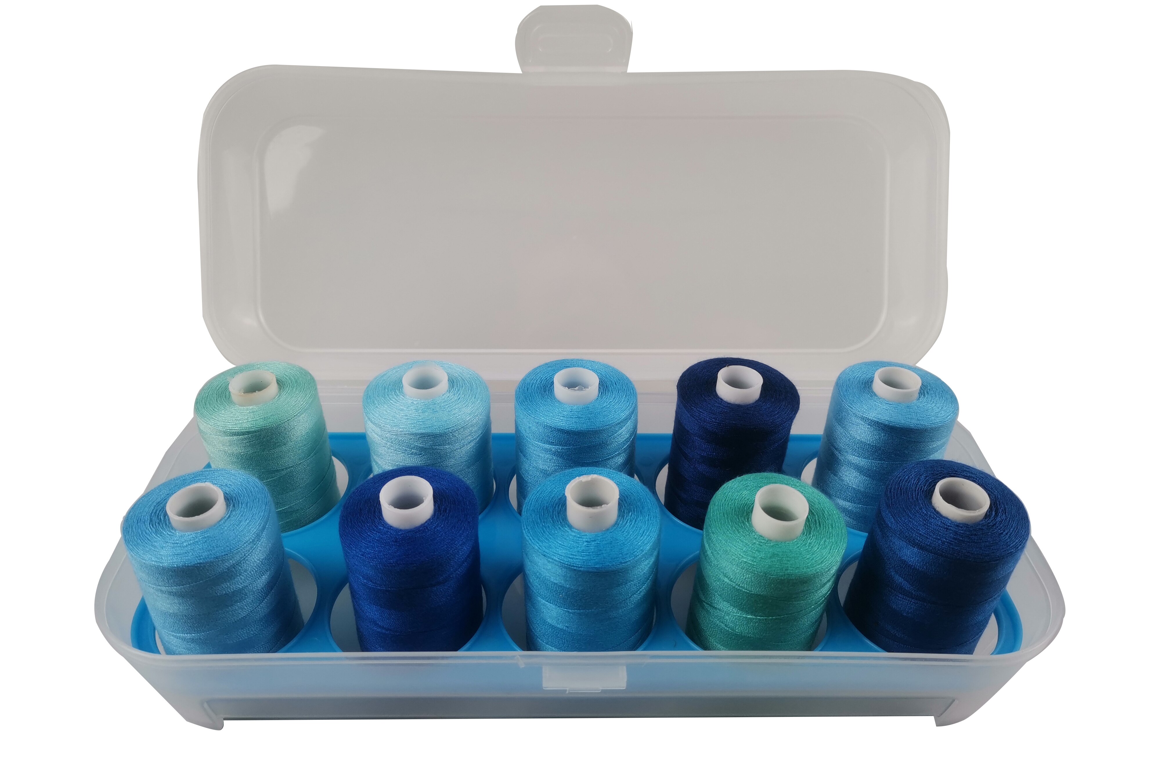 Sewing Machine Thread Polyester 1000 Yards 10 Colors Super Strong Kevler With Clear Plastic Storage Case: Blue