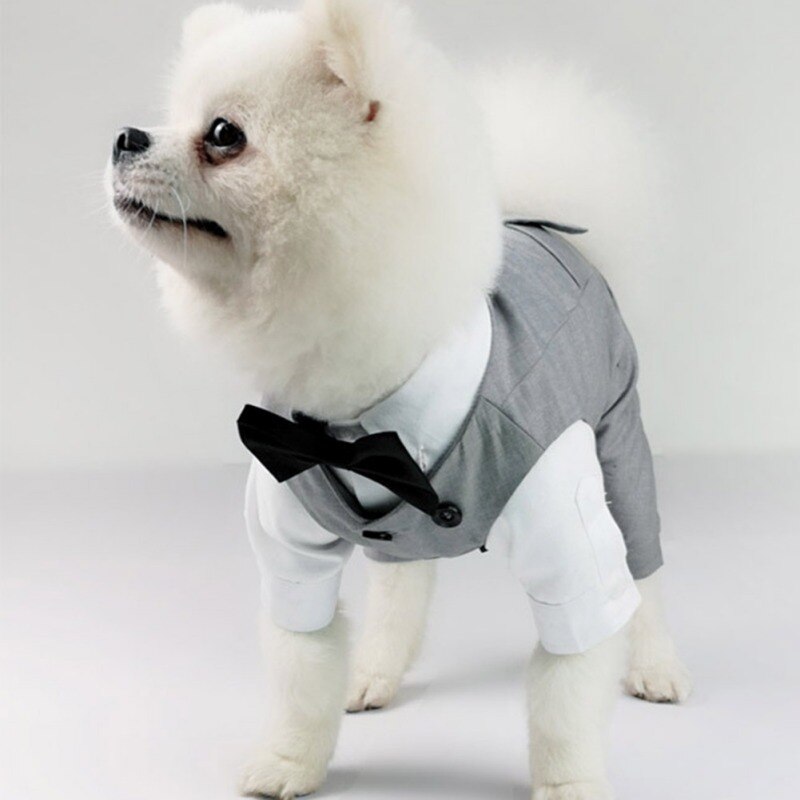 Vêtements de mariage pour chien, chemise formelle pour petits chiens, tenue d&#39;halloween et de noël pour chiots et chats