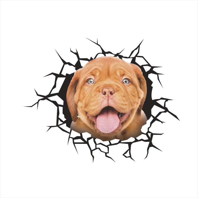 Grappige Honden Wc Stickers Voor Washroom Home Decoratie Diy Vivid 3d Gebroken Gat Patroon Puppy Muurschilderingen Creatieve Pvc Muur decal: GTP043AE