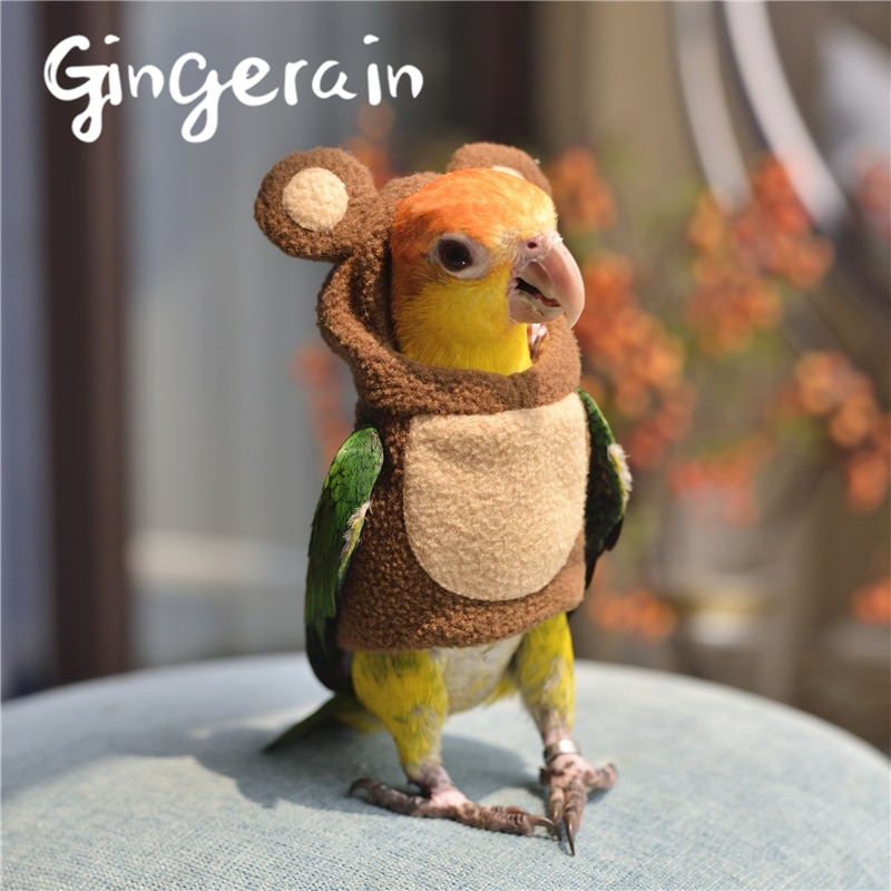 Gingerain Vogel kleding Papegaai kleding Beer originele handgemaakte custom vogel kleding Hooded Trui Beer