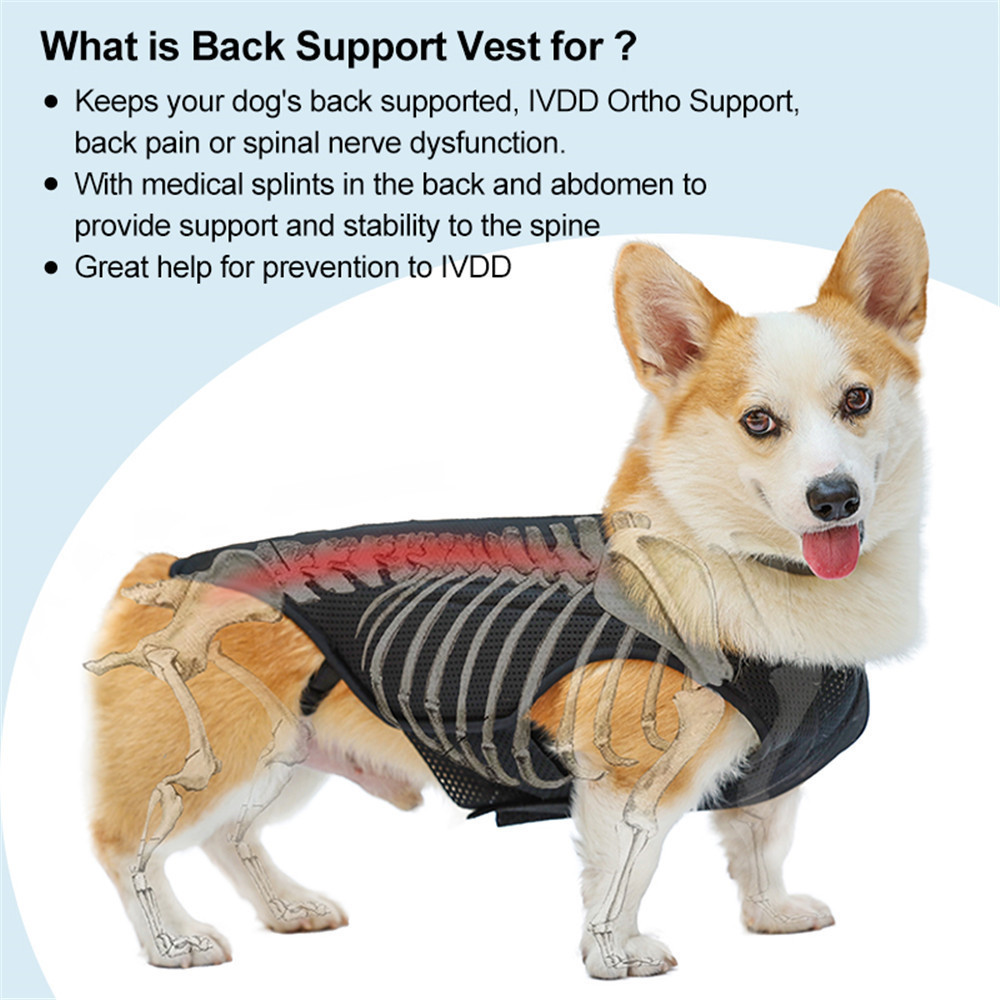 Pet Dog Back Protective Vest IVDD Intervertebral Disc Disease Recovery Brace Pet Back Pain Relief Support Harness Pet Supplies