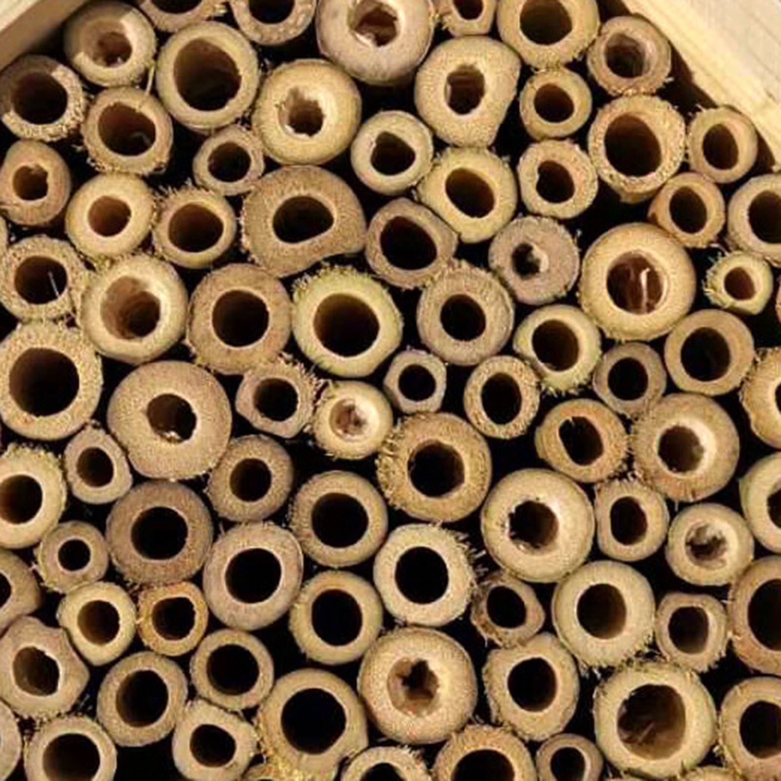 Mason Bee House Hanging Wooden Bee Hive Attracts Bee Pollinators To Enhance Pollination For Garden Farm Courtyard