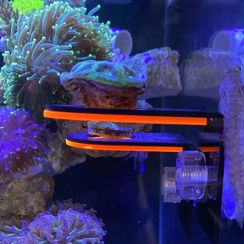 Fluorescence Coral Frag Rack Acrylic Cultivating Coral Holder Bracket LPS Bracket Mount Tool Marine Reef Tank Landscaping