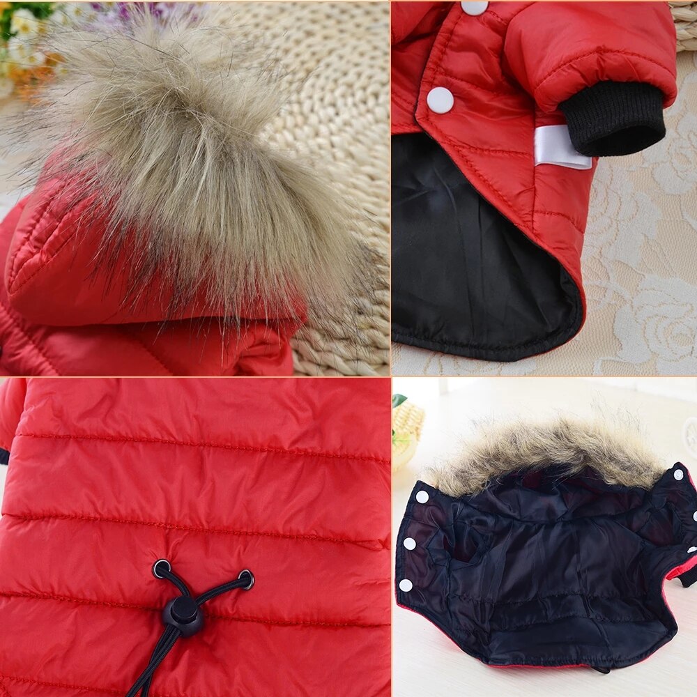 Middelgrote En Kleine Hooded Kleding Zachte Bont Kap Puppy Clothingwinter Warme Hond Jas Down Katoen Gewatteerde Jas