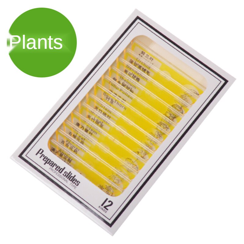 Microscope Accessories Children's Special Plastic Biological Section Animal Specimen 12 Pieces