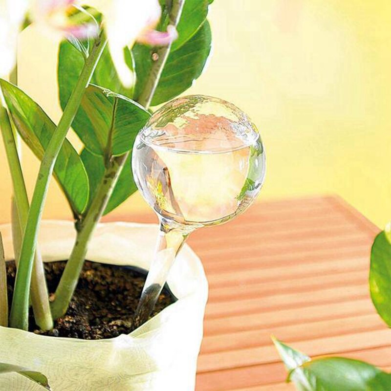 Bombillas de riego para plantas, dispositivo automático de bolas de agua, para vacaciones, casa, maceta, 20 Uds.