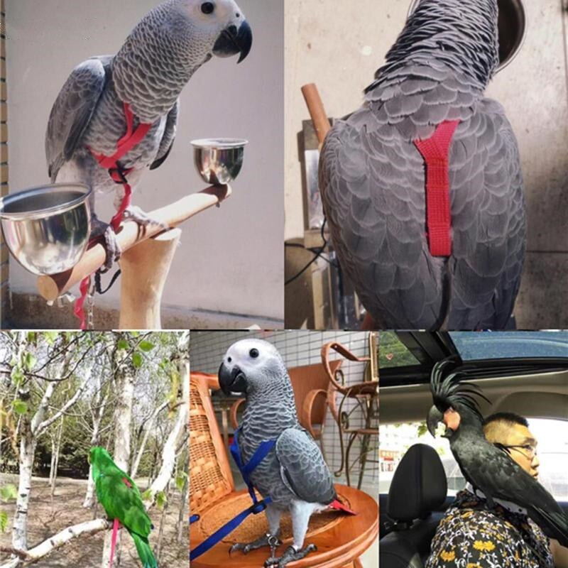 Huisdier Vogel Harness En Leash Verstelbare Parrot Bird Harness Leash Pet Anti Bite Training Touw Zachte Draagbare Huisdier Playthings