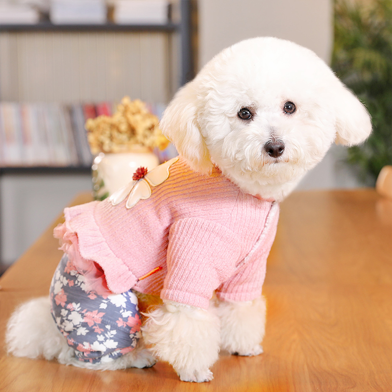 Ropa HOOPET para perros, monos para perros, ropa para cachorros y gatos, abrigo para perros, ropa para perros Chihuahua