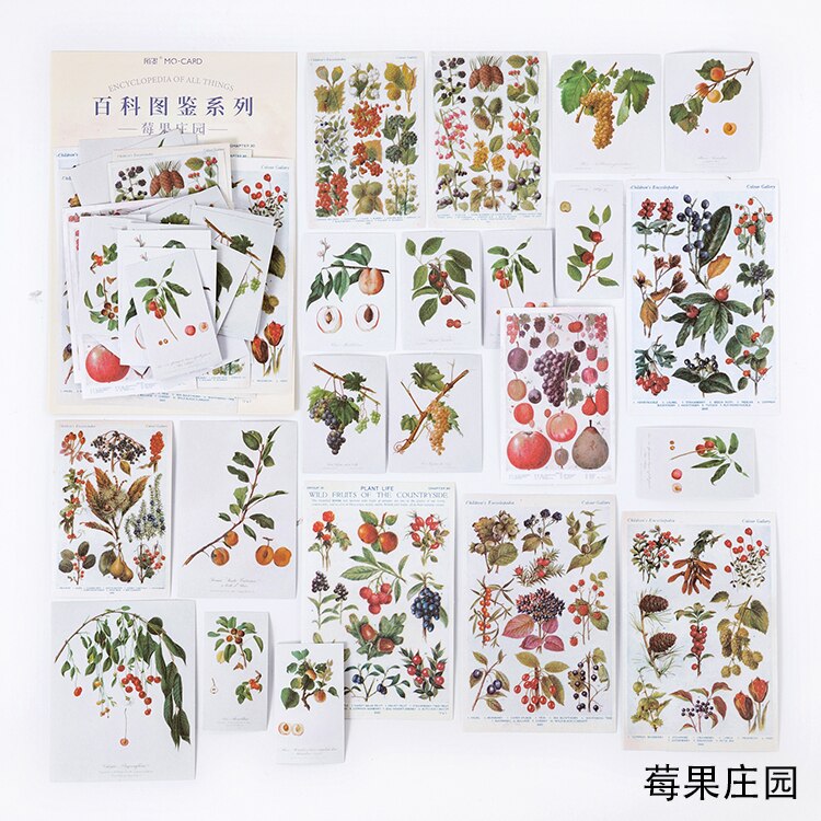 Xinaher 60 st / väska vintage fjäril fern växter fågel papper klistermärke dekoration klistermärken diy dagbok scrapbooking etikett klistermärke: E