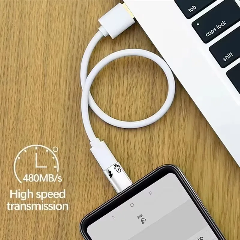Adaptador OTG tipo C a convertidor Lightning para Apple 16 15, adaptador de transferencia de datos de micrófono Android portátil con cerradura, 2/1 Uds.