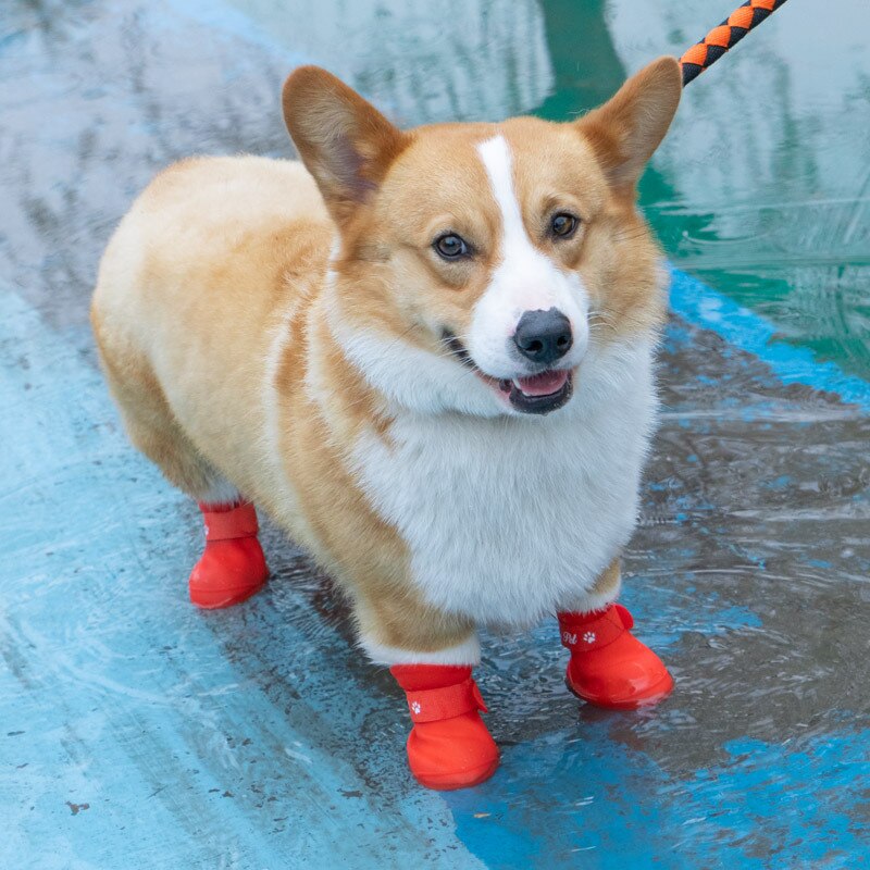 Hundesko silikone regnsko galoshes vinter sne sko til hund vandtætte støvler kæledyrsforsyning hundetilbehør: Rød / S