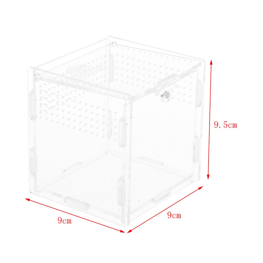 Reptiles Terrarium Cage Lizard Frog Snake Turtle Feeding Tank Box