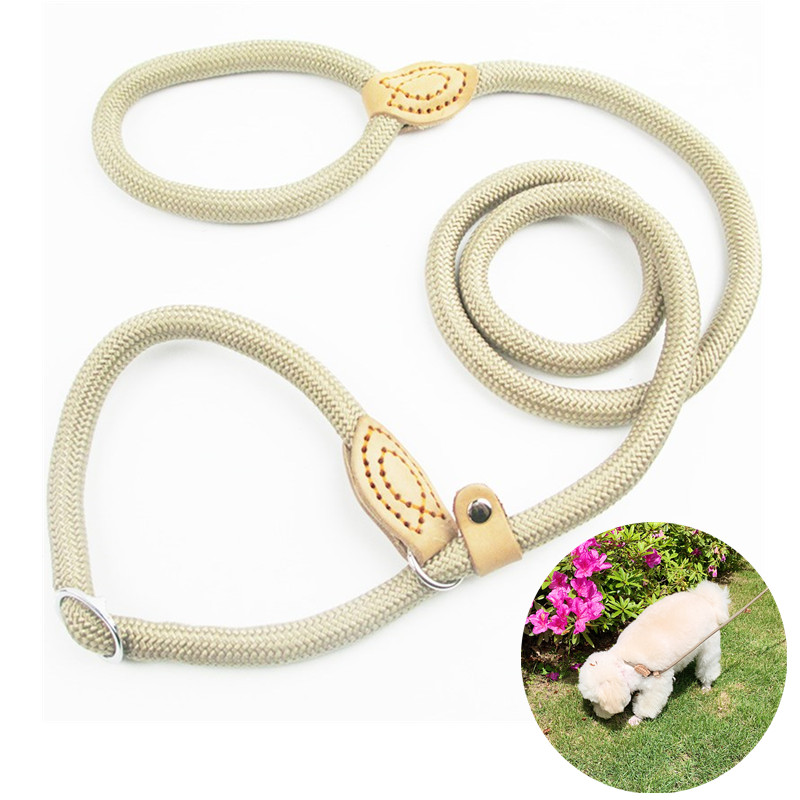 Laisse en Nylon pour chien 8/14mm, corde tressée, robuste, réglable, accessoire d'entraînement pour animaux de compagnie, pour petits et grands chiots