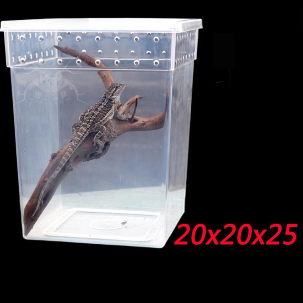 Reptile Box Climbing Pet Feeding Container Special Transparent Breeding Box for Spider Lizard Tree