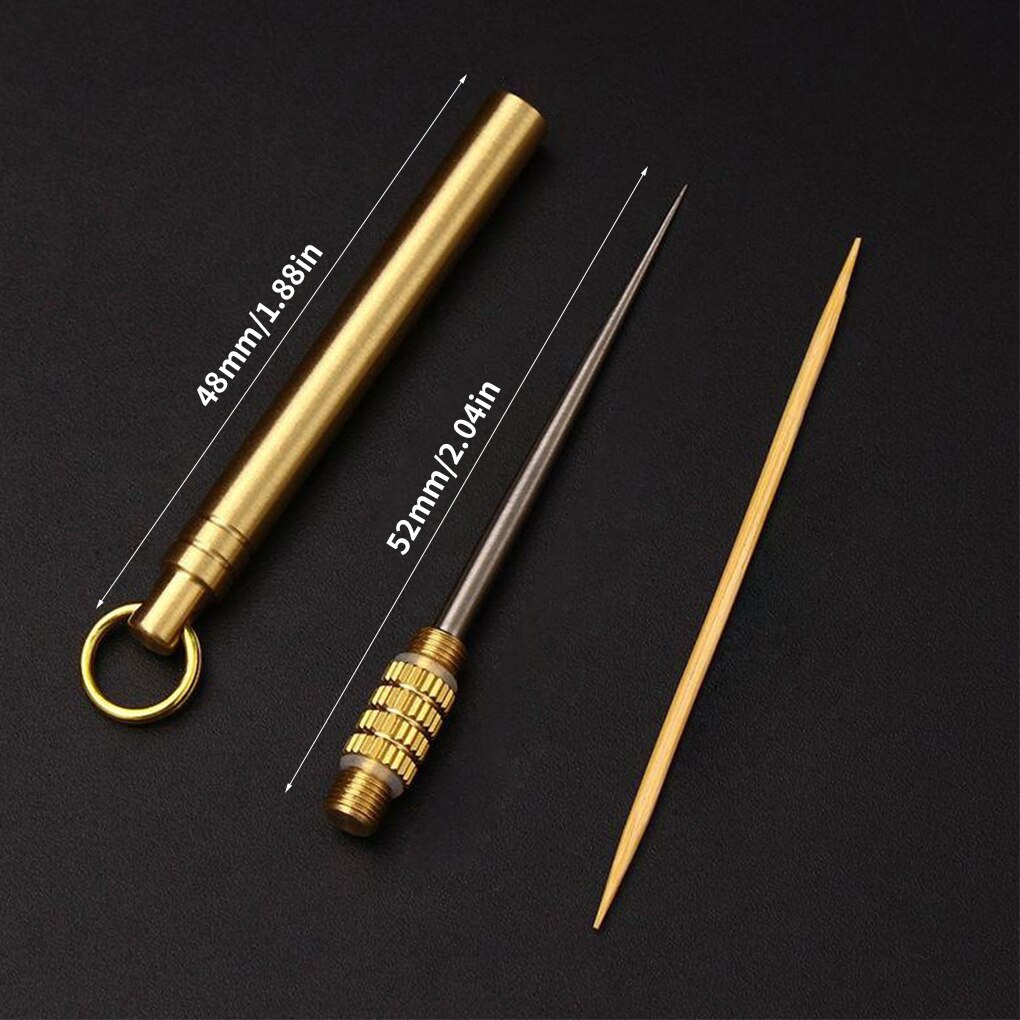 Picnic Toothpick Metal Fruit Fork Toothpick Portable Barbecue Tooth Cleaning Supply with Holder