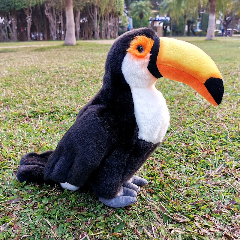 30cm grand Kyorochan Simulation Toucan oiseau Animal en peluche jouet poupée enfants d'anniversaire décoration de la maison
