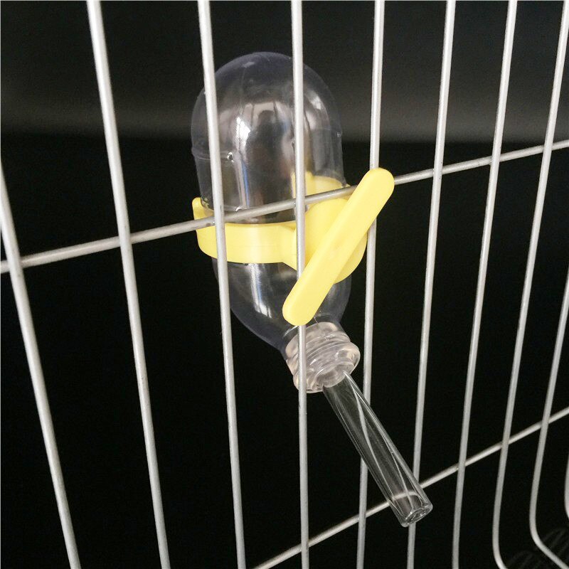 Bebedero para hámster, jaula para hámster, color verde, azul y rosa, aleatorio, jaula para animales pequeños, bebedero de agua para mascotas, 1 unidad