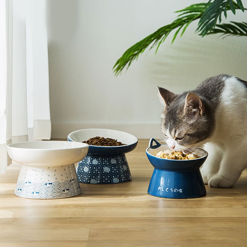 gamelle ceramique pour chat Bol incliné pour chat et chien, en céramique, Anti-vomissement, nourriture pour animaux de compagnie, mangeoire à eau, accessoires pour animaux de compagnie