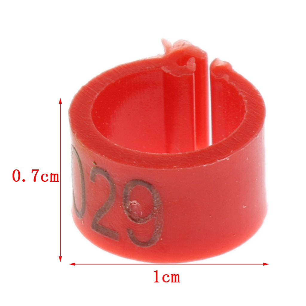 50 Uds identificación palomas banda bayoneta identificación anillo loro pájaro de apertura paloma anillo para pata suministros pájaro electrodomésticos