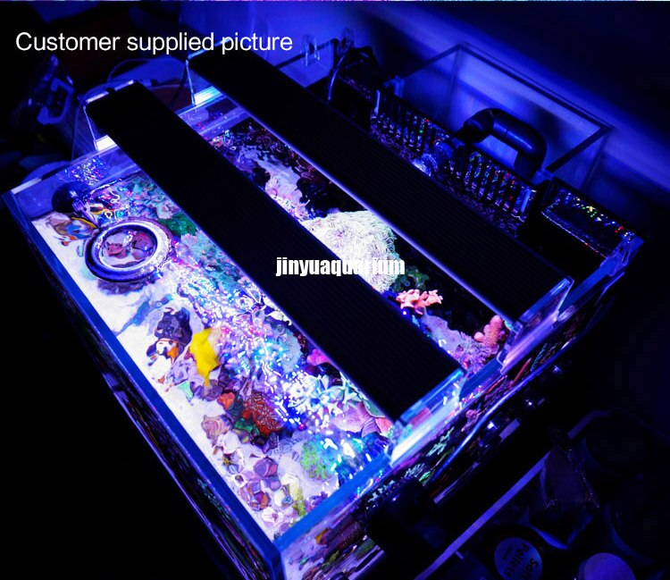 Chihiros Marine LED licht koraal SPS LPS aquarium sea reef tank wit blauw korte stijl