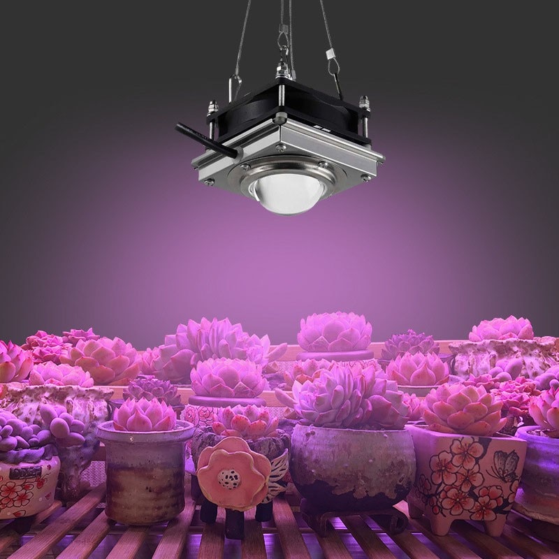 Led Grow Light full spectrum migrolight indoor Growing tent plant lights hightime medicalplants led lamp hydropinics Growlights
