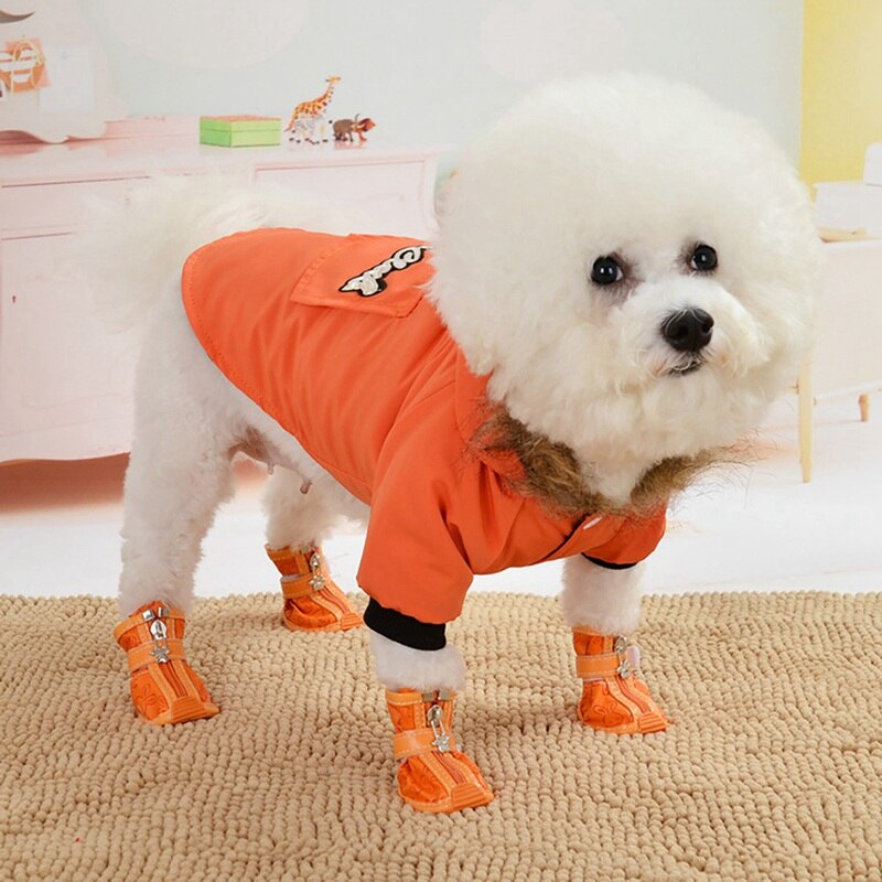 Winter Hond Puppy Jasje Verdikking Warm Puppy Hond Kleding Hoodie Kostuum Kleine Honden Uitloper , a02