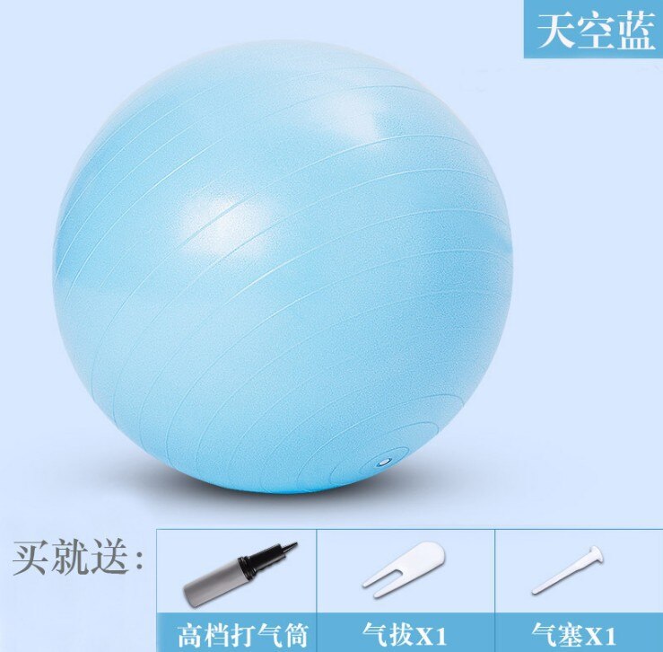 Sports Yoga Balls Bola Pilates Fitness Gym Balance Fitball Exercise Pilates Workout Massage Ball 55cm 65cm