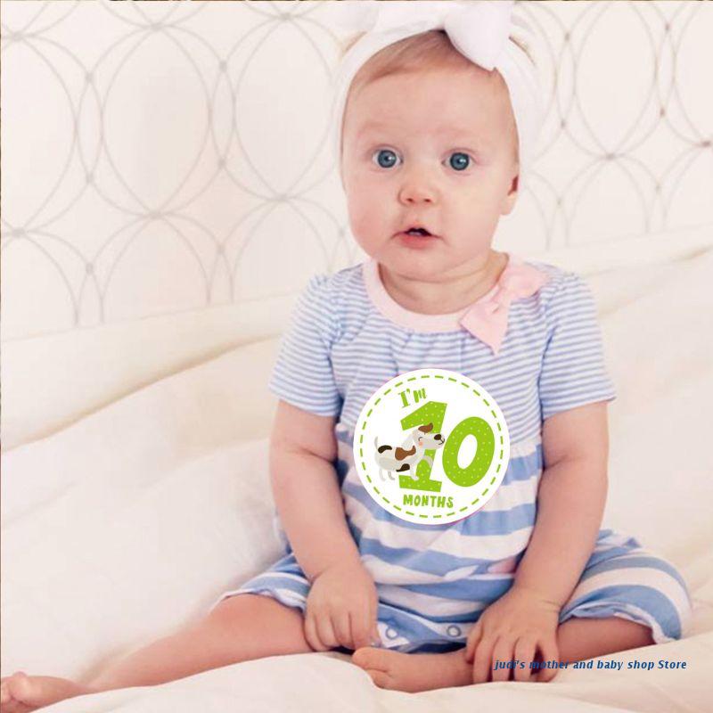 67JC 12 Baby Milestone Stickers Monthly Photo Picture Props For Boy or Girl Infant Onesie, 1st Year Months Belly Decal