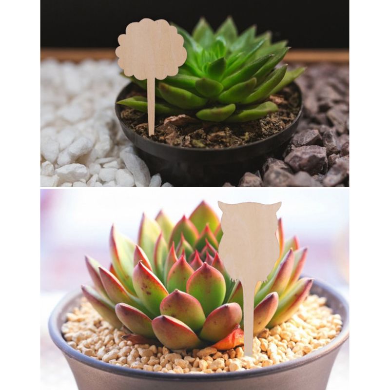 50 st miljövänliga träväxtetiketter skyltar taggar trädgårdsmarkeringar för frö krukväxter blommor grönsaker