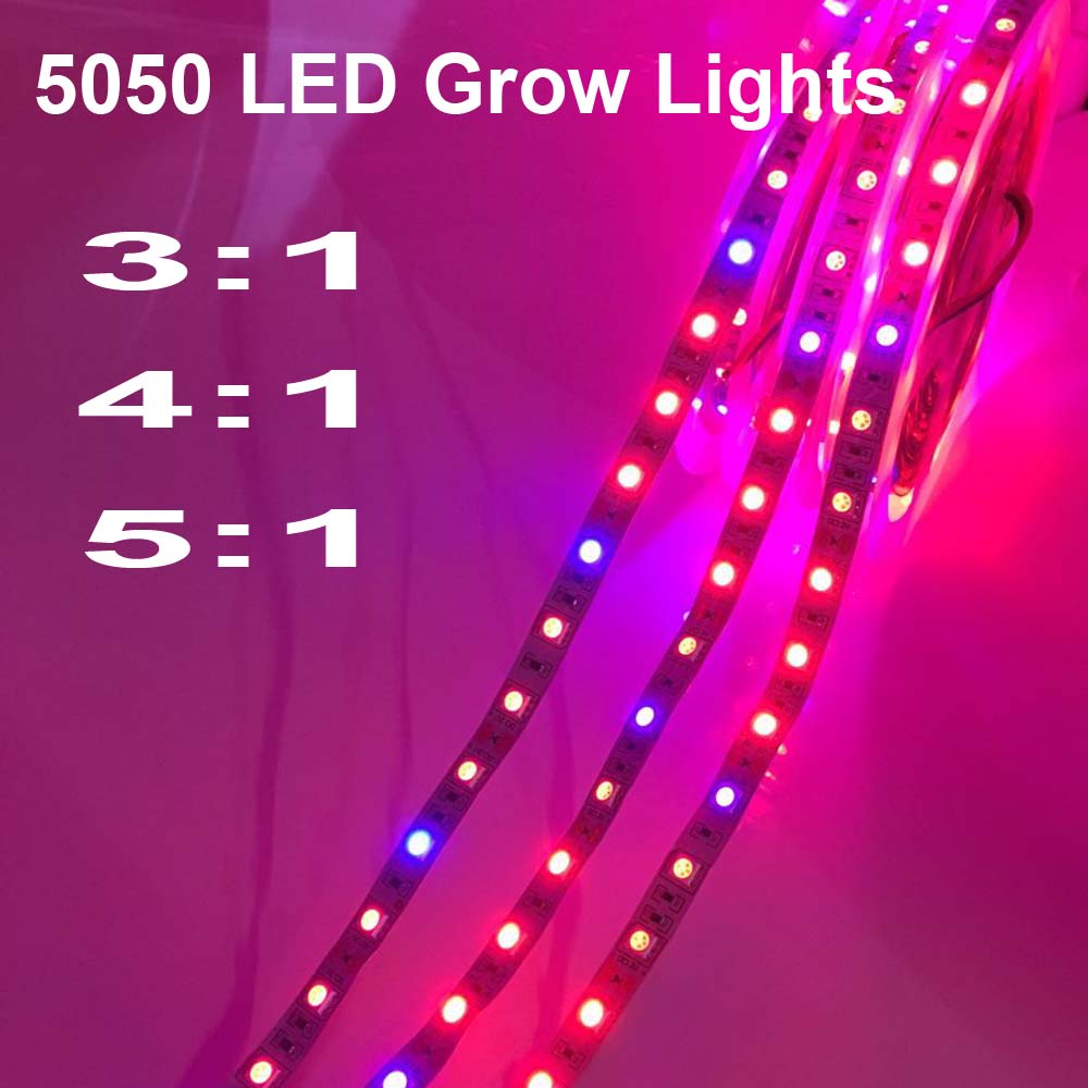 5 M LED Phyto Lampen Volledige Spectrum LED Strip Licht 300 LEDs 5050 Chip LED Fitolampy Kweeklampen Voor Kas hydrocultuur plant