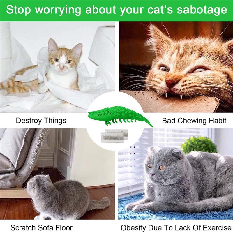 Tannbørste tygge leketøy katteleker interaktiv katt til kattunge katter tenner rengjøringe tannpleie kreps form kjæledyr leketøy katt