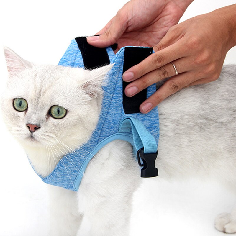 Cat Adjustable Chest Strap Cat Harness Escape Proof Small Cat Dog Vest Harness With Strap Soft Mesh Walking Jacket for Kitten