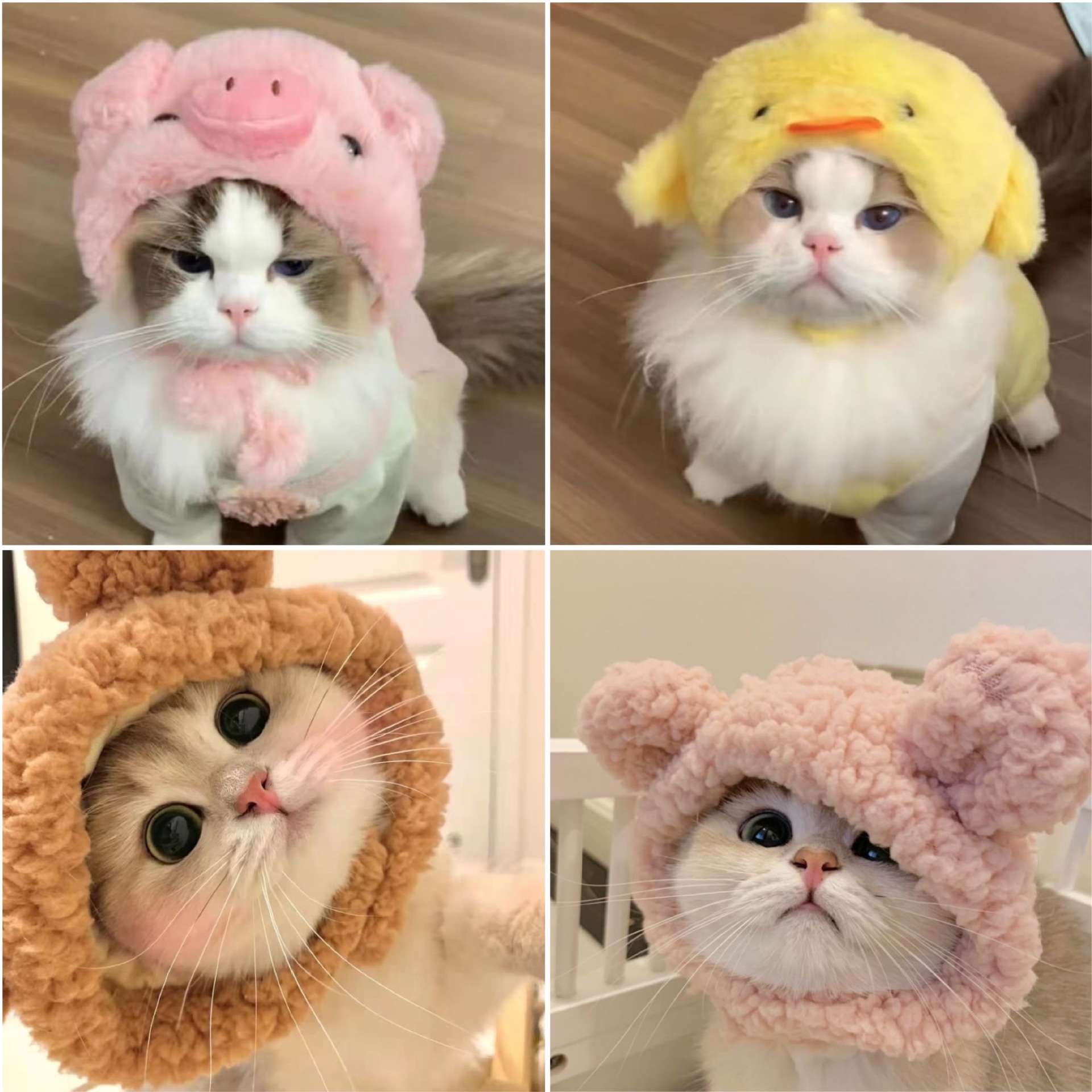 Lustiges Haustier-Stirnband, Plüschgarn, Katze, Hundekappe, Panda, Schwein, Haustier, warme Haustiermütze, KüKen, Cosplay, Zubehör, Kopfschmuck, Kostüm