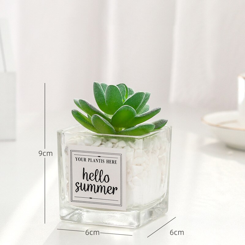 Planta de simulación nórdica, Mini planta suculenta en maceta, péndulo , botella de vidrio de piedra verde, planta decorativa de escritorio en maceta: C