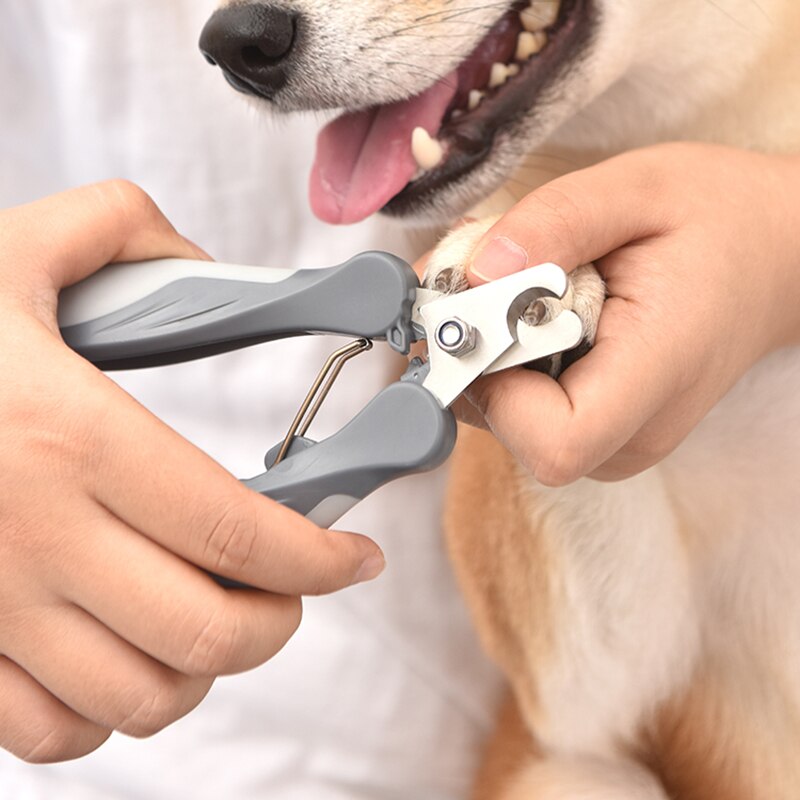 Hoopet Huisdier Kat Hond Nagelknipper Nail Claw Cutter Rvs Grooming Schaar Voor Katten Voor Honden