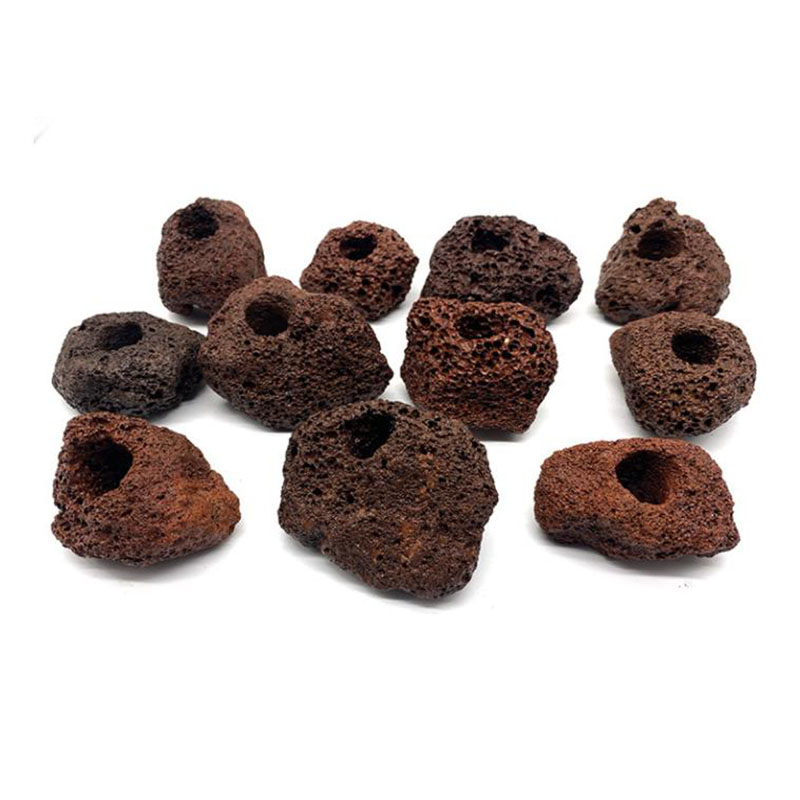 Decoración de acuario volcánico, maceta de fijación de plantas para pecera, plantas de agua de lunares, taza de plantación en maceta, accesorios para acuario, filtro negro