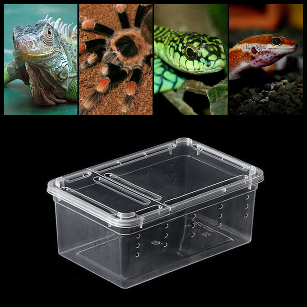 Scorpion Reptile Box Terrarium Food Feeding Transparent PP Transport Lizard Container House Insects For Snake Spide Habitat