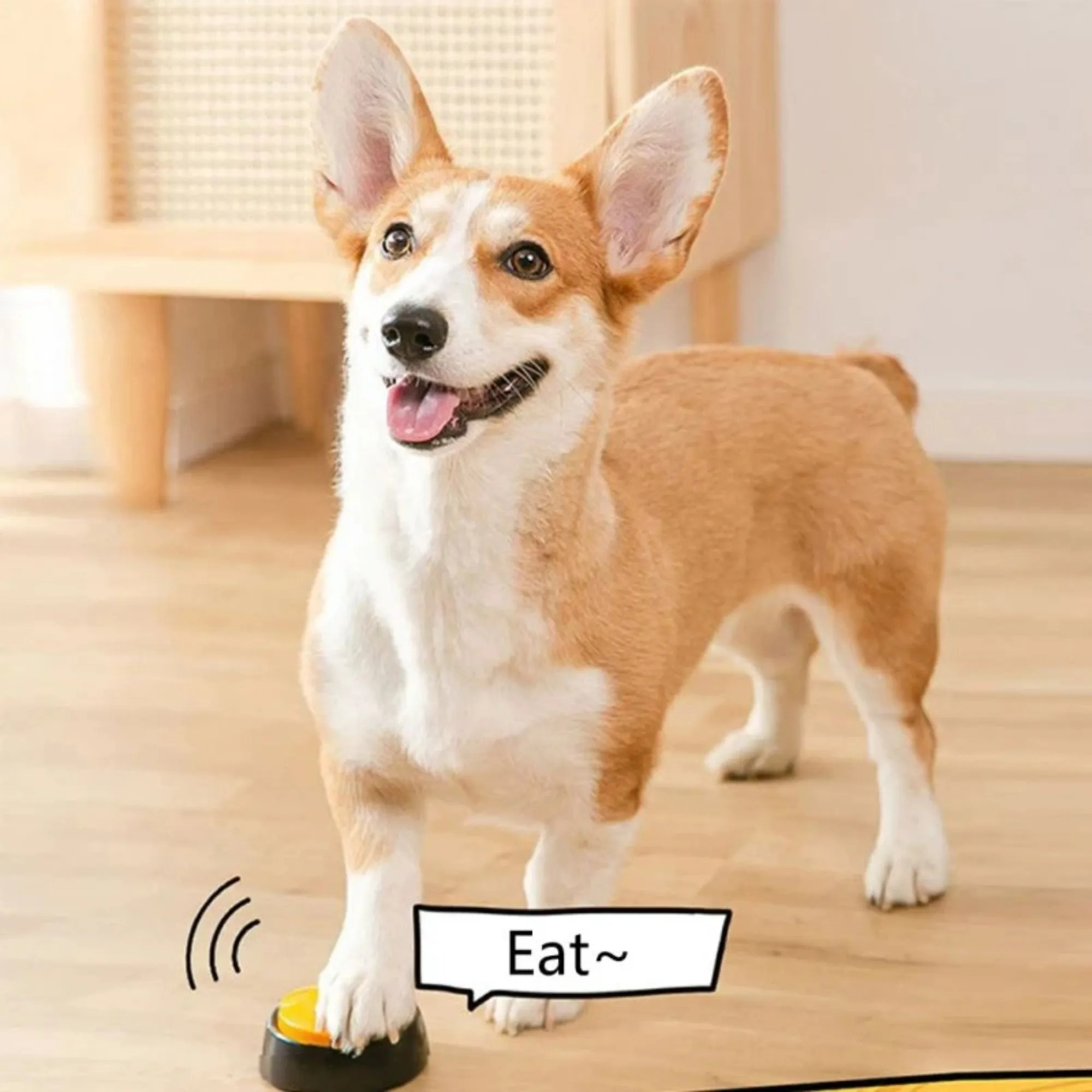 Dog Communication Buttons Voice Recording Button for Pet Training Buzzer 30 Second Record Playback Funny for Talking Pet