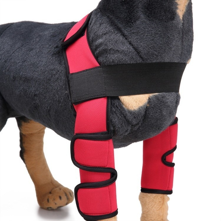 Skydd knäledsskydd hund benstöd knäskydd hund hasstag verktyg hund bakben hasledslindning skyddar sårläkning: Röd / L