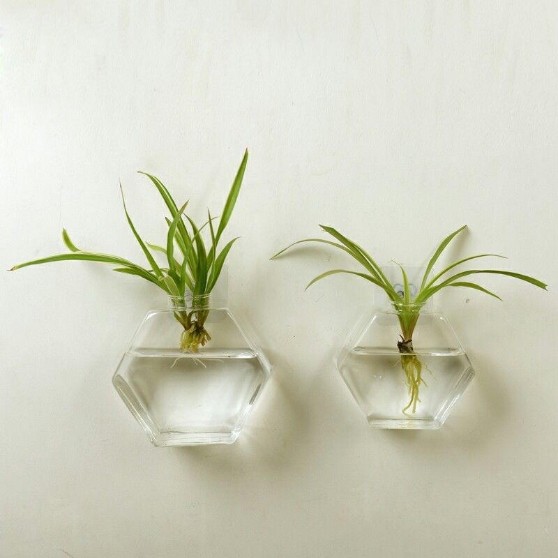 Sekskantet væghængende glas plante blomstervase hydroponisk akvarium boligdekoration sender sømløs nal