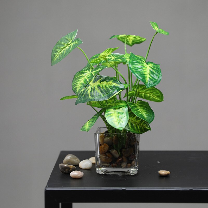 Erxiaobao kunstige planter med glaspotte simulation bonsai potteplanter placeret grønne firkløver hjemmebord vinduer dekoration: Rohdea japonica