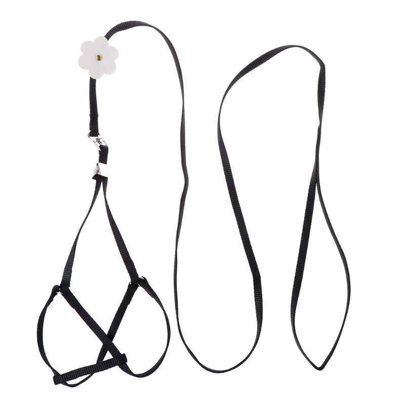 7 Colors Adjustable Bird Training Leash Portable Small Pets Walking Lead Rope Ultralight Flying Harness For Parrot Cat