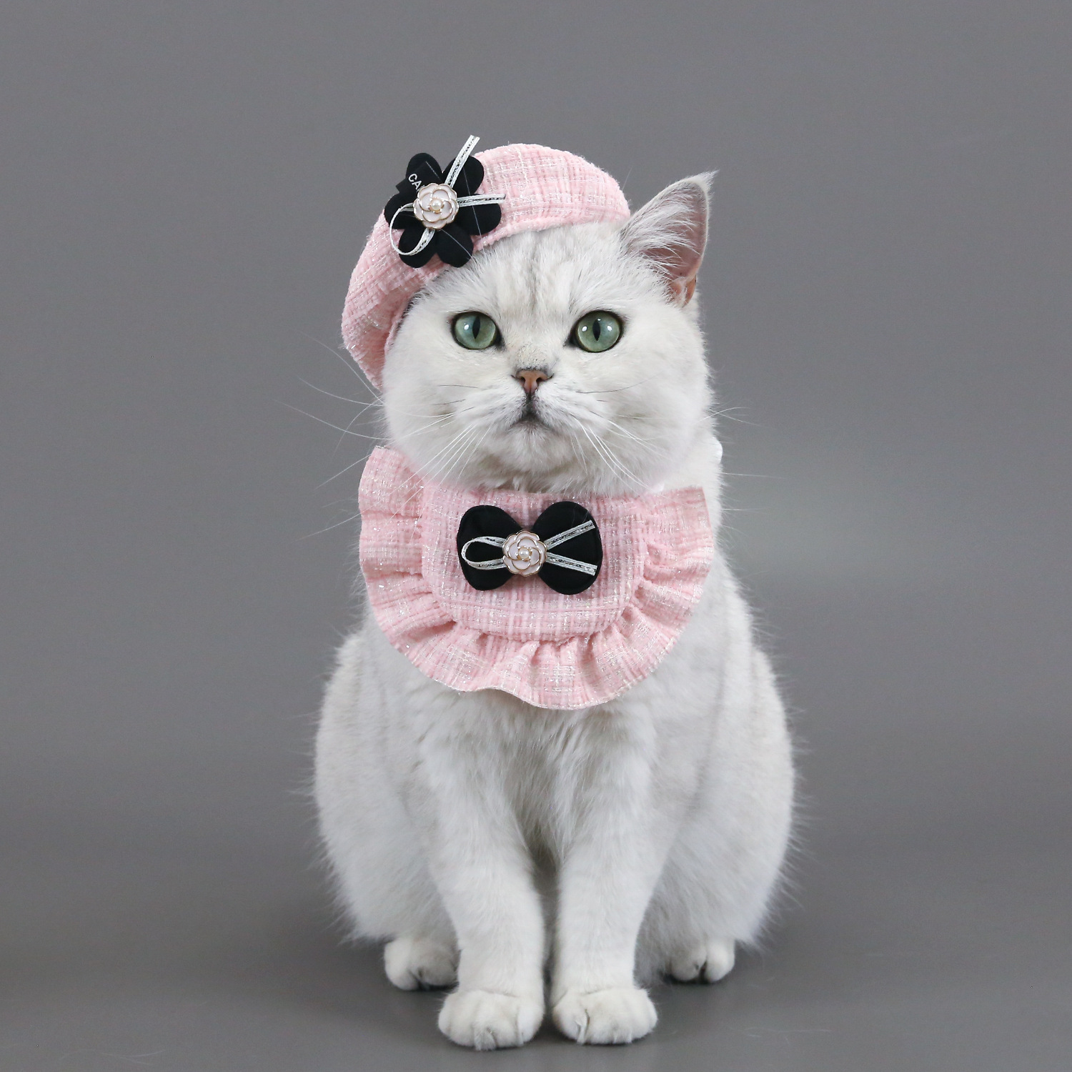 Chapeau en laine avec nœud papillon pour animaux de compagnie, bavoir en dentelle, ensemble d'accessoires pour chat et chien, bandana pour chien, accessoires pour animaux de compagnie