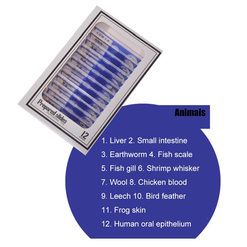 1200X Student Monocular Biological Microscope Set LED Home School Science Educational For Kids Child Lab Optical Instruments: Blue