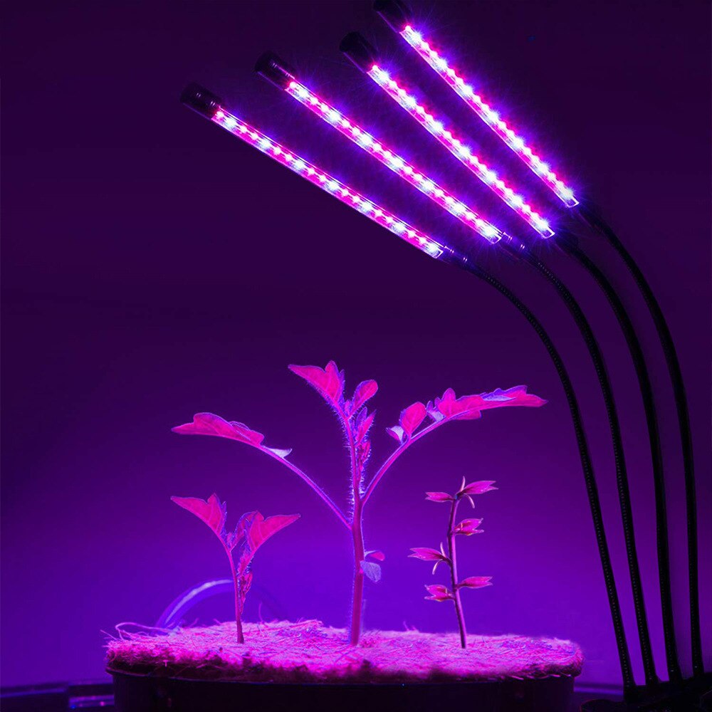 Fuldspektret ledet vækstlys  dc 5v 10w 20w 30w 40w clip-on usb drevet dæmpbar phyto lampe plante vækstlys til indendørs blomst
